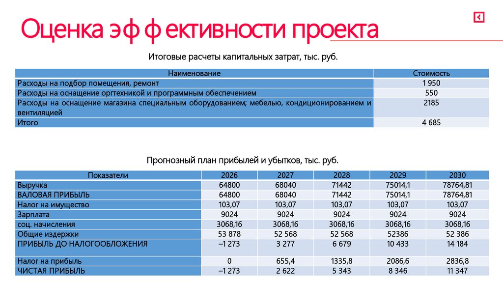 Оценка эффективности проекта