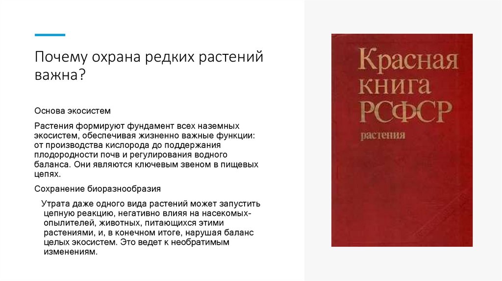 Почему охрана редких растений важна?