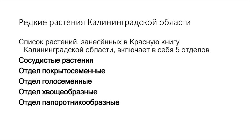 Редкие растения Калининградской области
