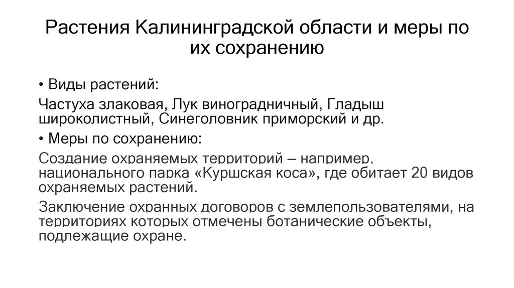 Растения Калининградской области и меры по их сохранению