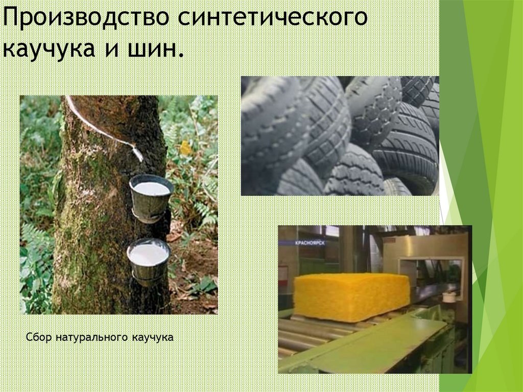 Производство синтетического каучука и шин. Сбор натурального каучука
