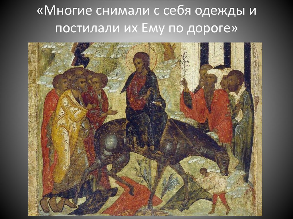 «Многие снимали с себя одежды и постилали их Ему по дороге»