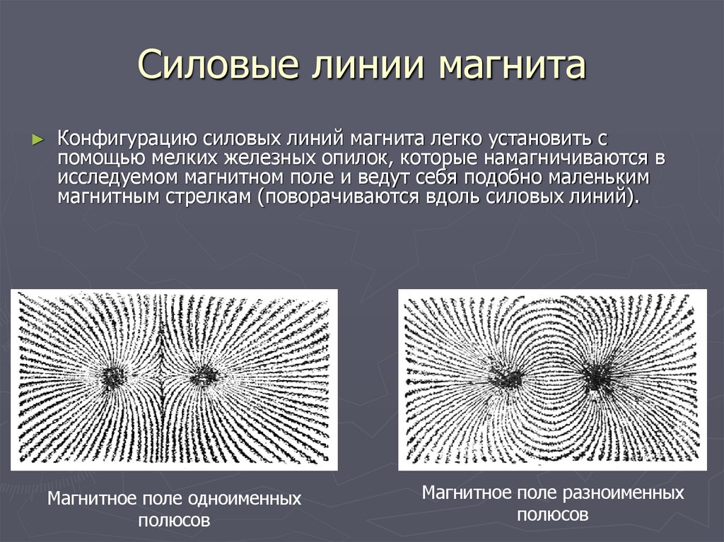 Силовые линии магнита