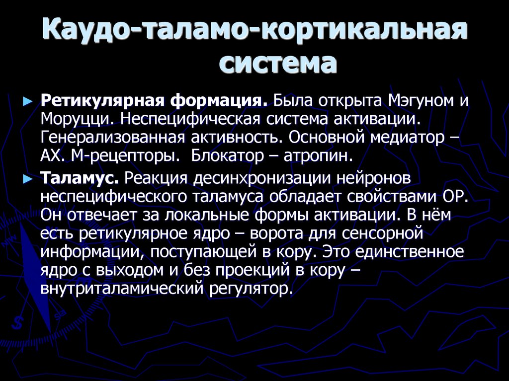 Каудо-таламо-кортикальная система