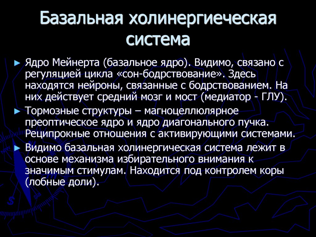 Базальная холинергиеческая система