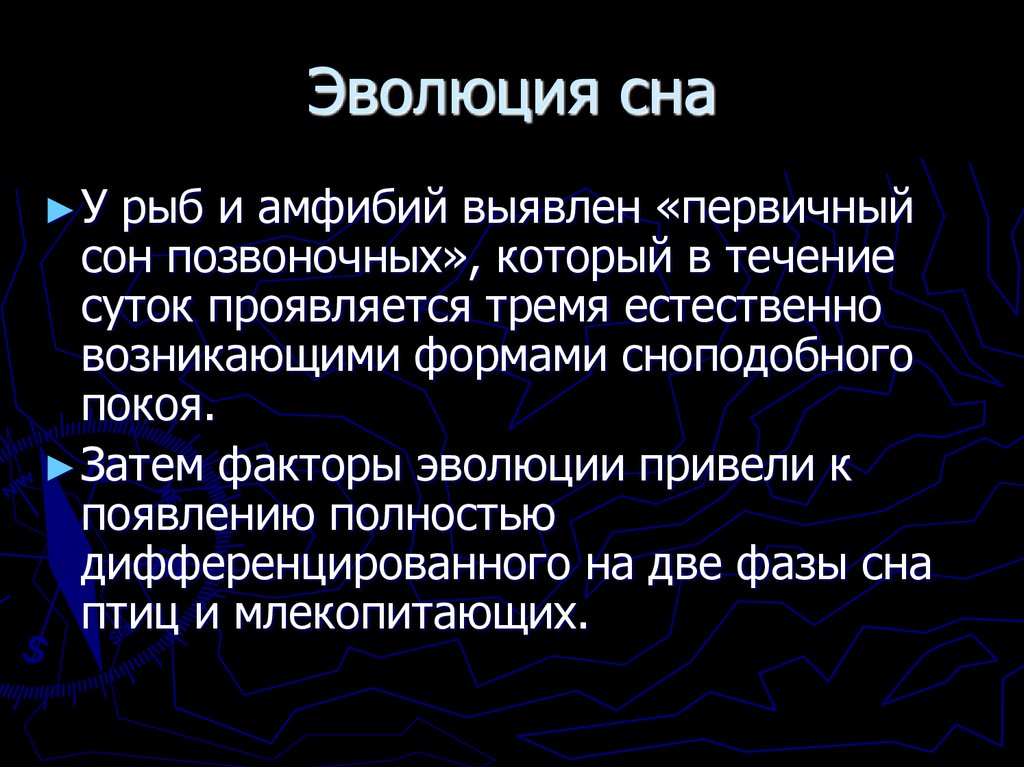 Эволюция сна