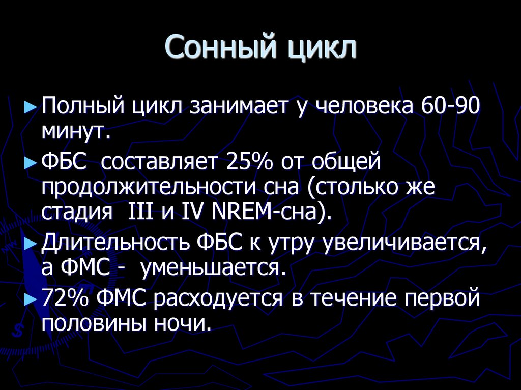 Сонный цикл