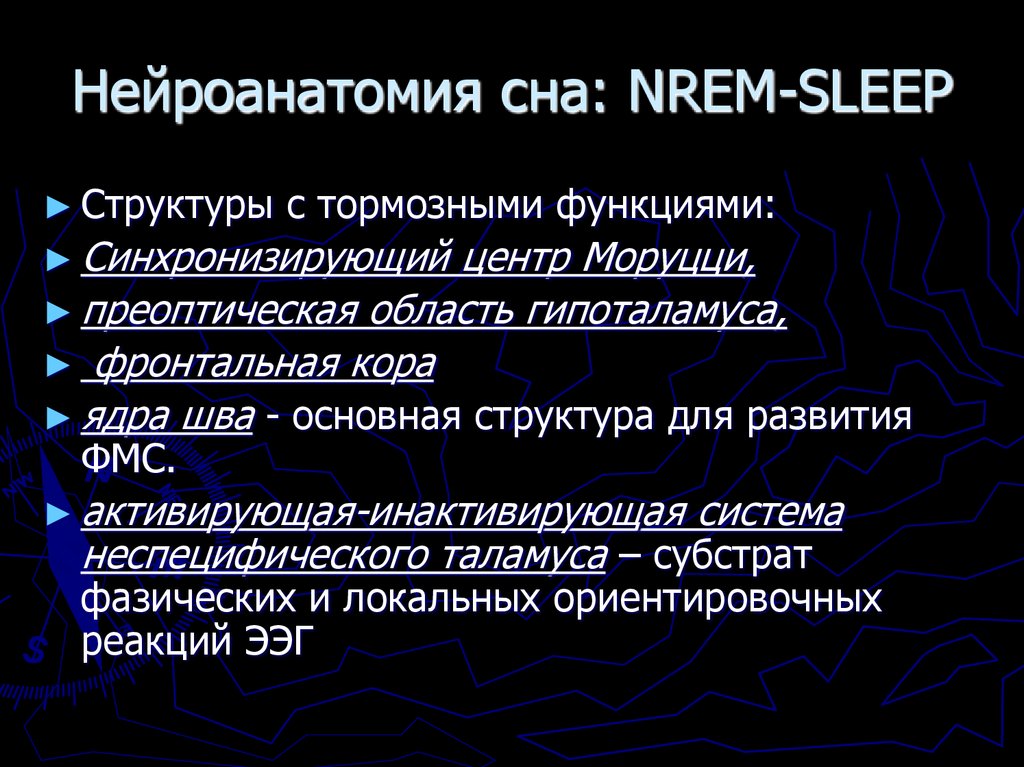 Нейроанатомия сна: NREM-SLEEP