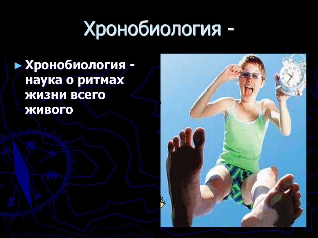 Хронобиология -