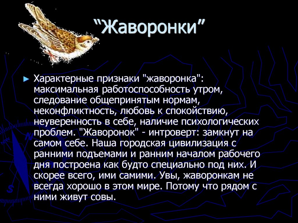 “Жаворонки”