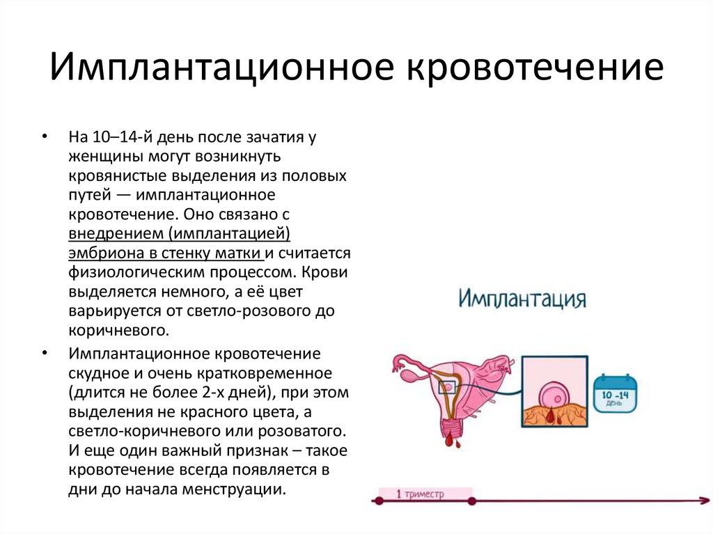 Имплантационное кровотечение