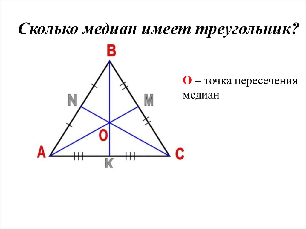 Сколько медиан имеет треугольник?