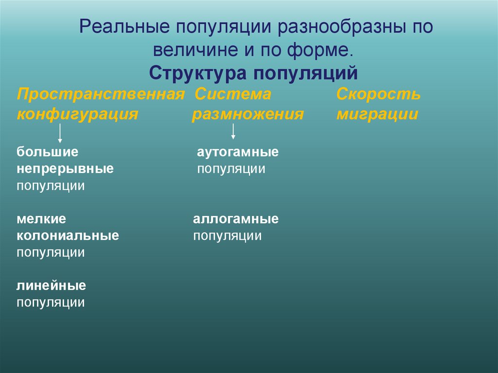 Реальные популяции разнообразны по величине и по форме. Структура популяций