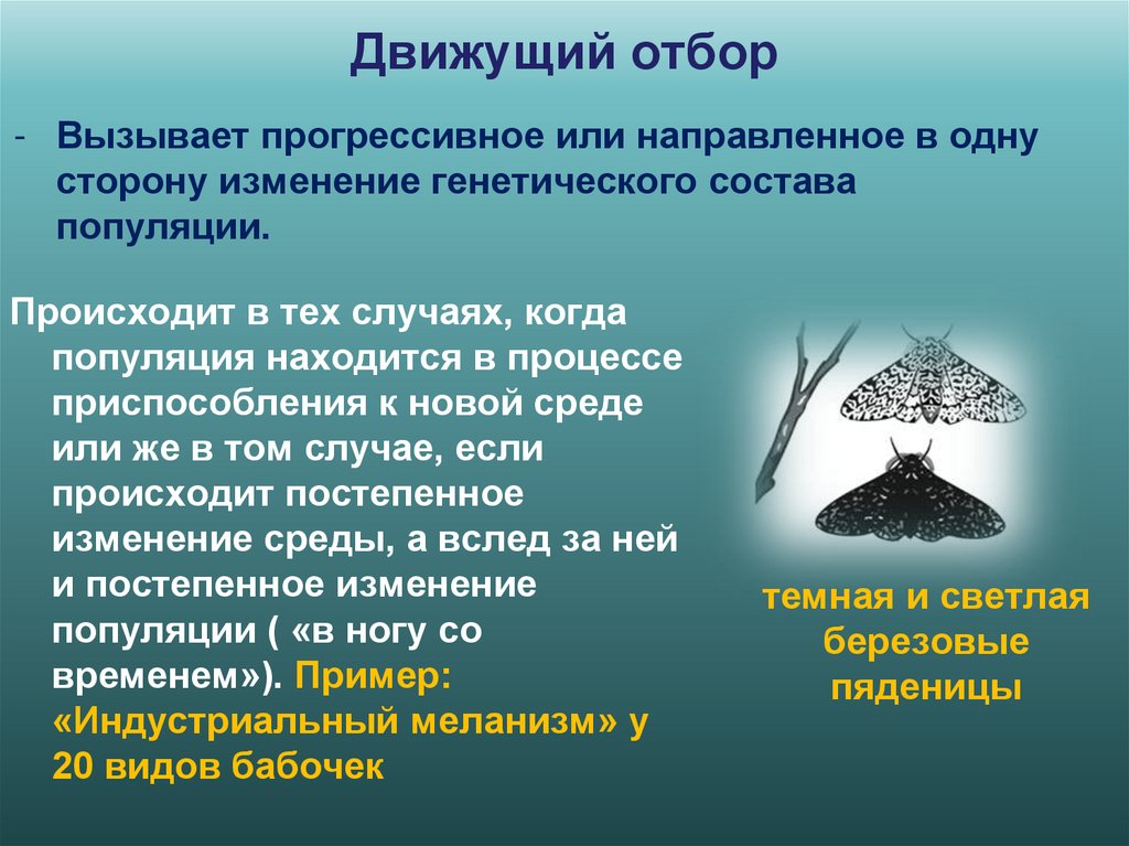 Движущий отбор