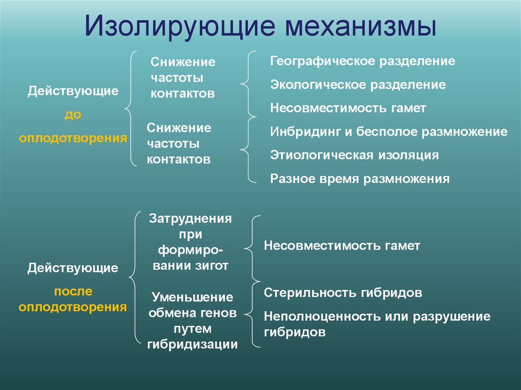 Изолирующие механизмы