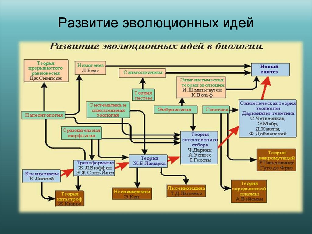 Развитие эволюционных идей
