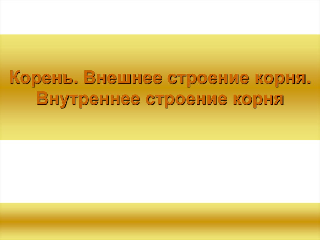 Корень. Внешнее строение корня. Внутреннее строение корня