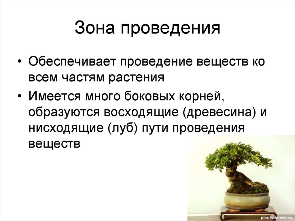 Зона проведения