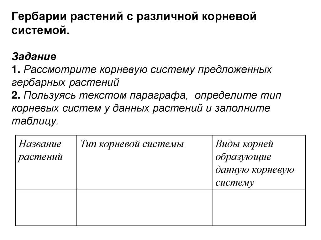 Гербарии растений с различной корневой системой. Задание 1. Рассмотрите корневую систему предложенных гербарных растений 2.