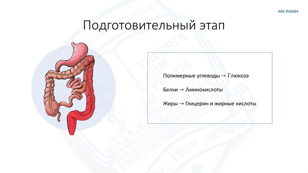 Подготовительный этап