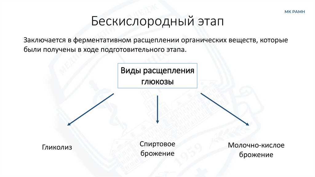 Бескислородный этап