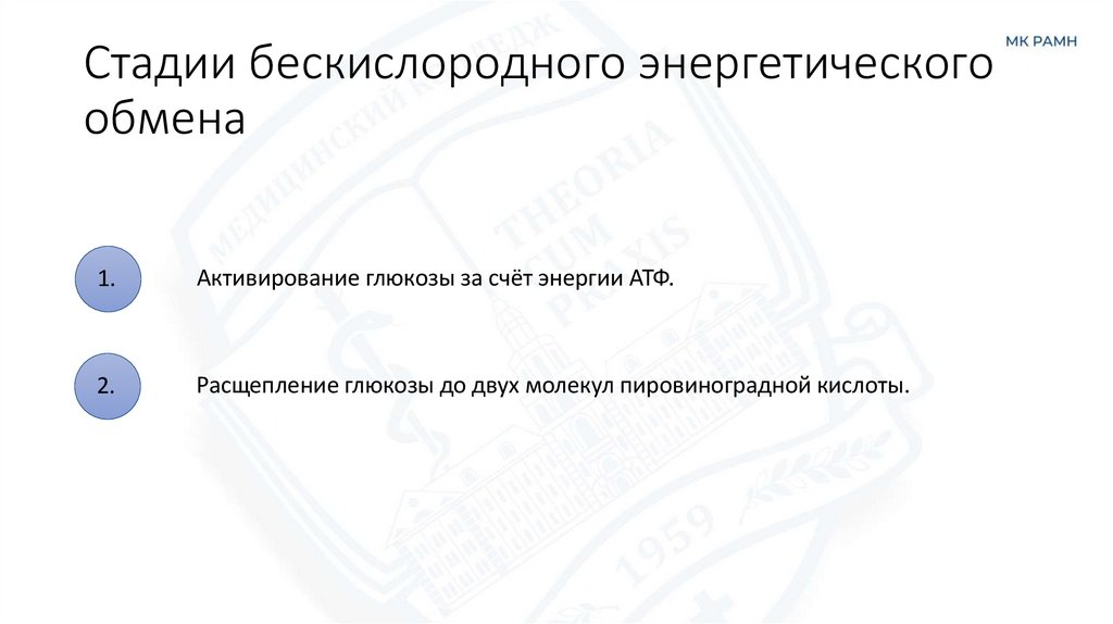 Стадии бескислородного энергетического обмена