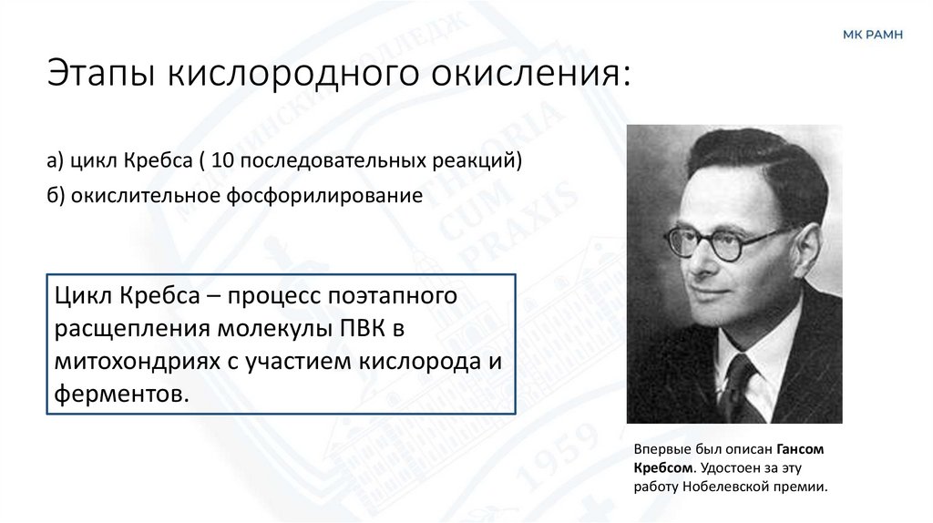 Этапы кислородного окисления: