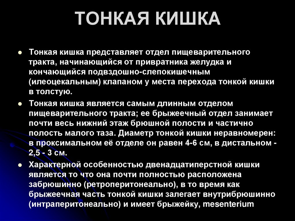 ТОНКАЯ КИШКА