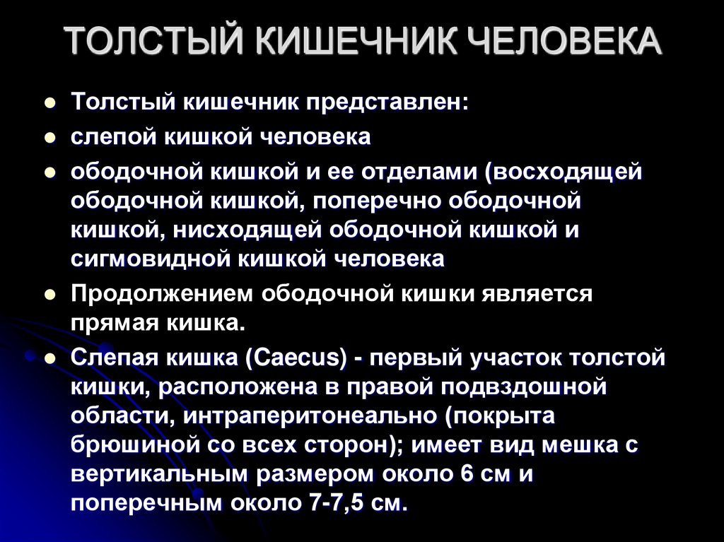 ТОЛСТЫЙ КИШЕЧНИК ЧЕЛОВЕКА