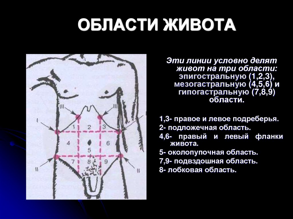 ОБЛАСТИ ЖИВОТА