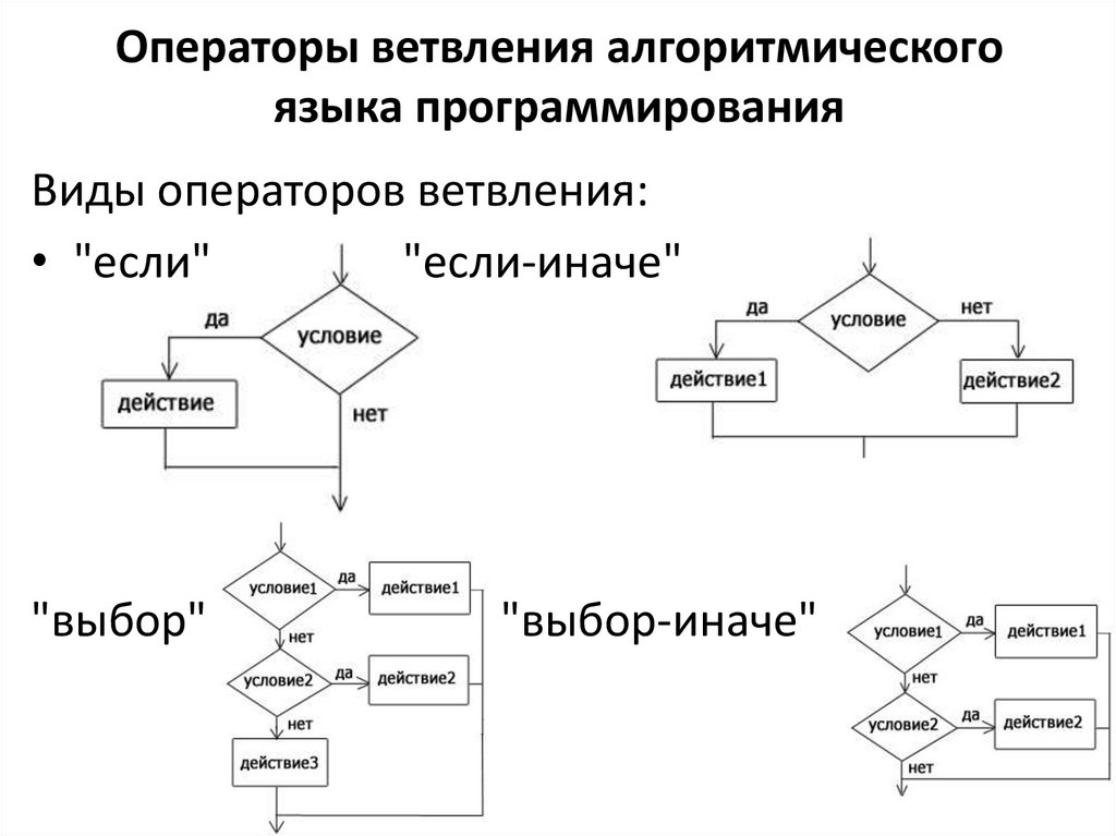 Операторы ветвления алгоритмического языка программирования