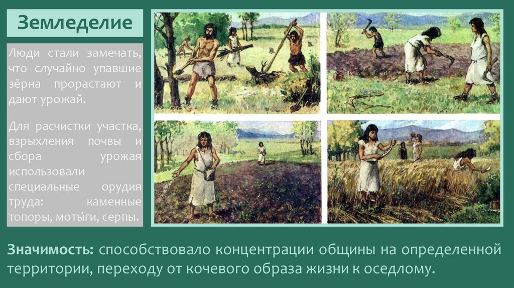 Земледелие