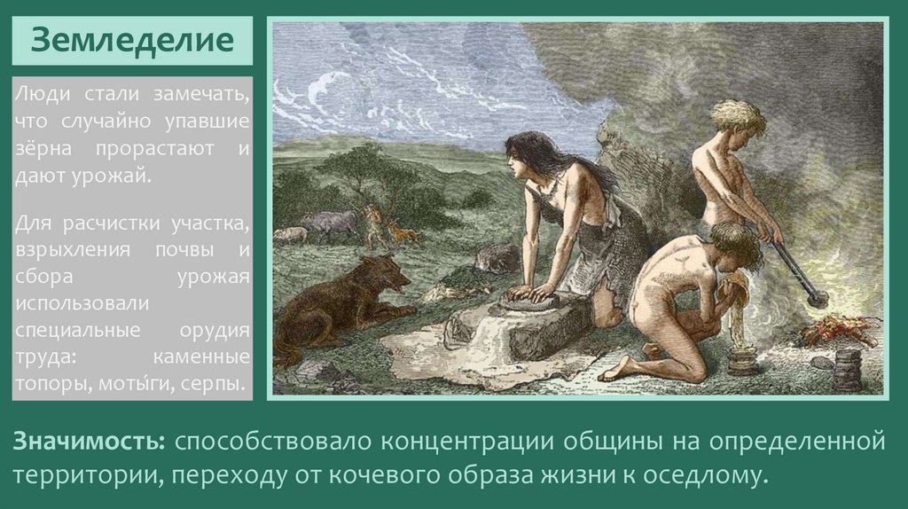 Земледелие