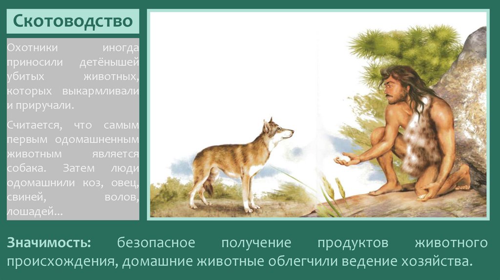 Скотоводство