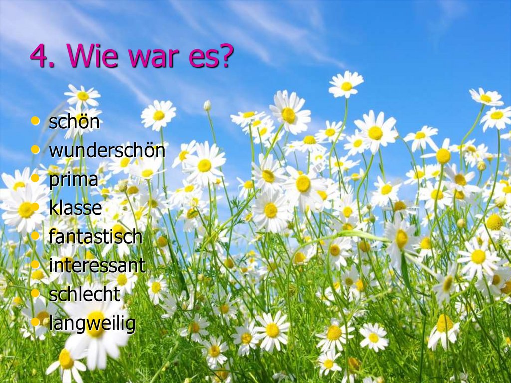 4. Wie war es?