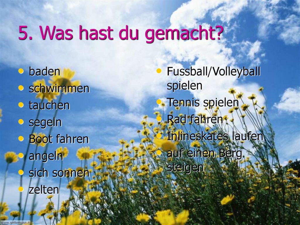 5. Was hast du gemacht?