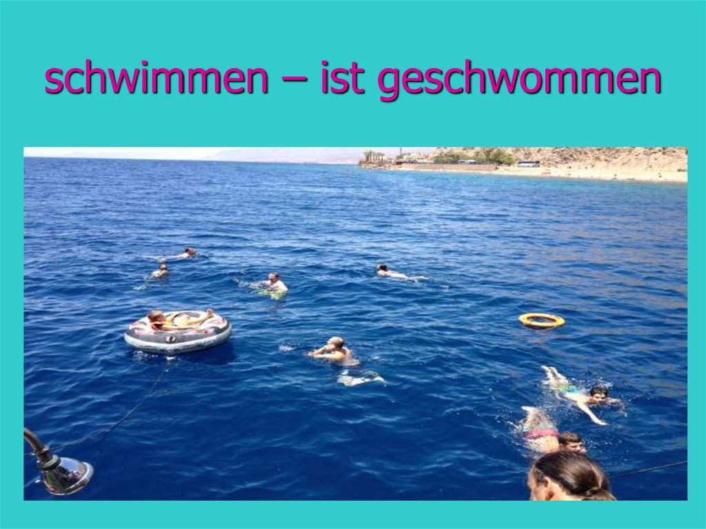 schwimmen – ist geschwommen
