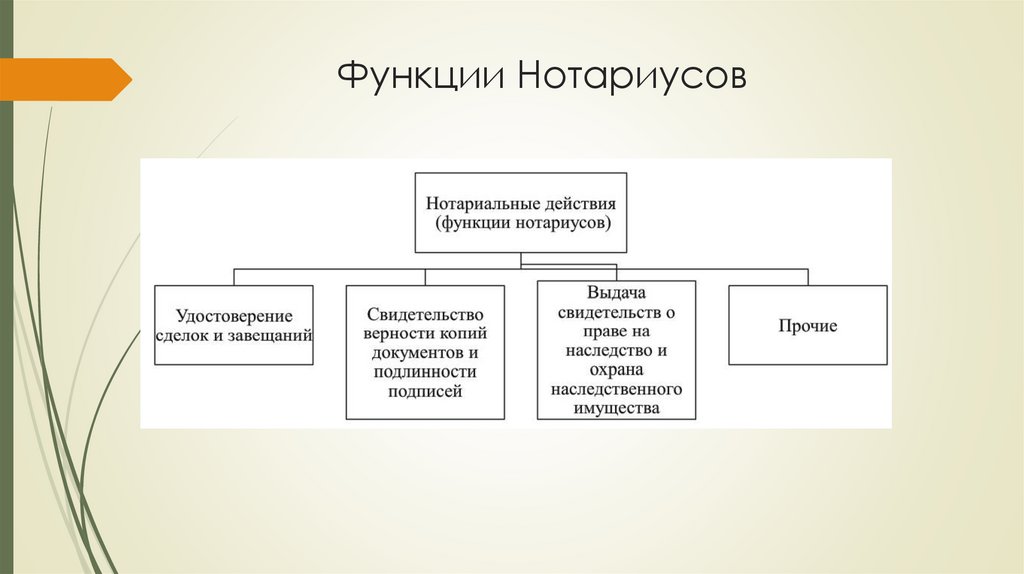 Функции Нотариусов