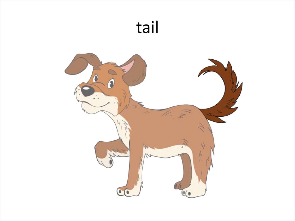 tail
