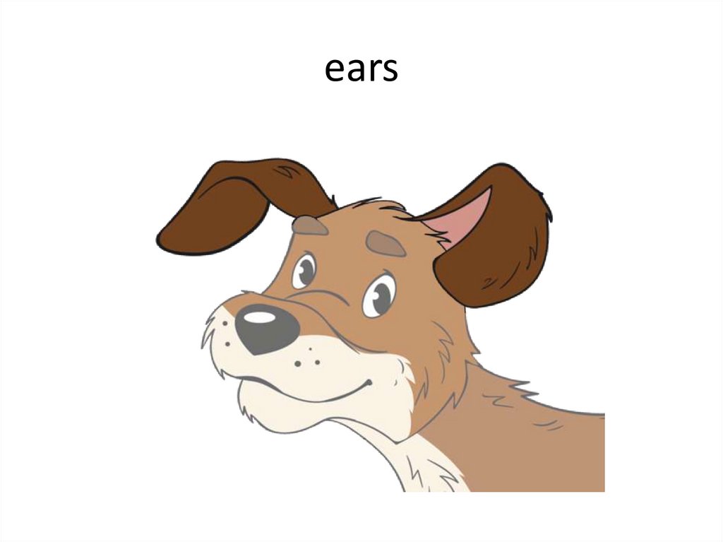 ears
