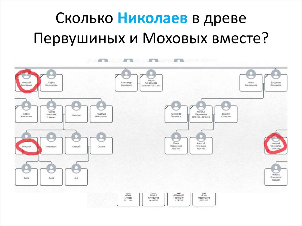 Сколько Николаев в древе Первушиных и Моховых вместе?