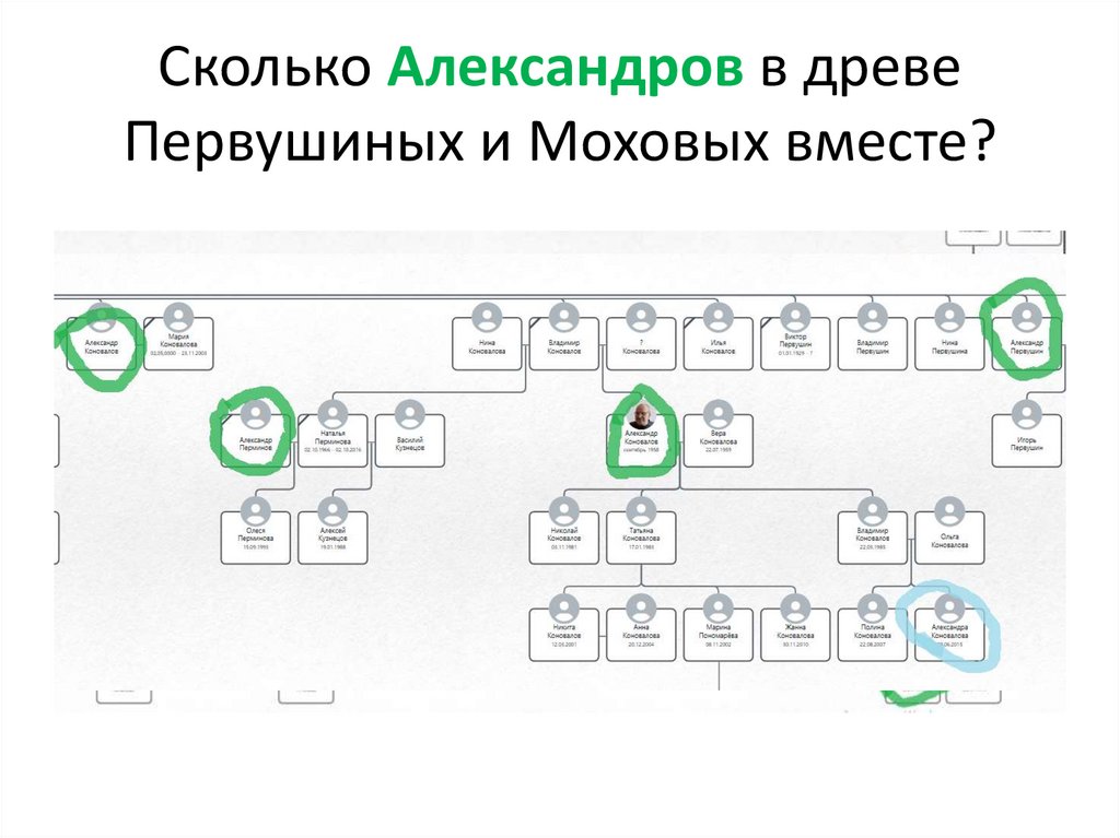 Сколько Александров в древе Первушиных и Моховых вместе?