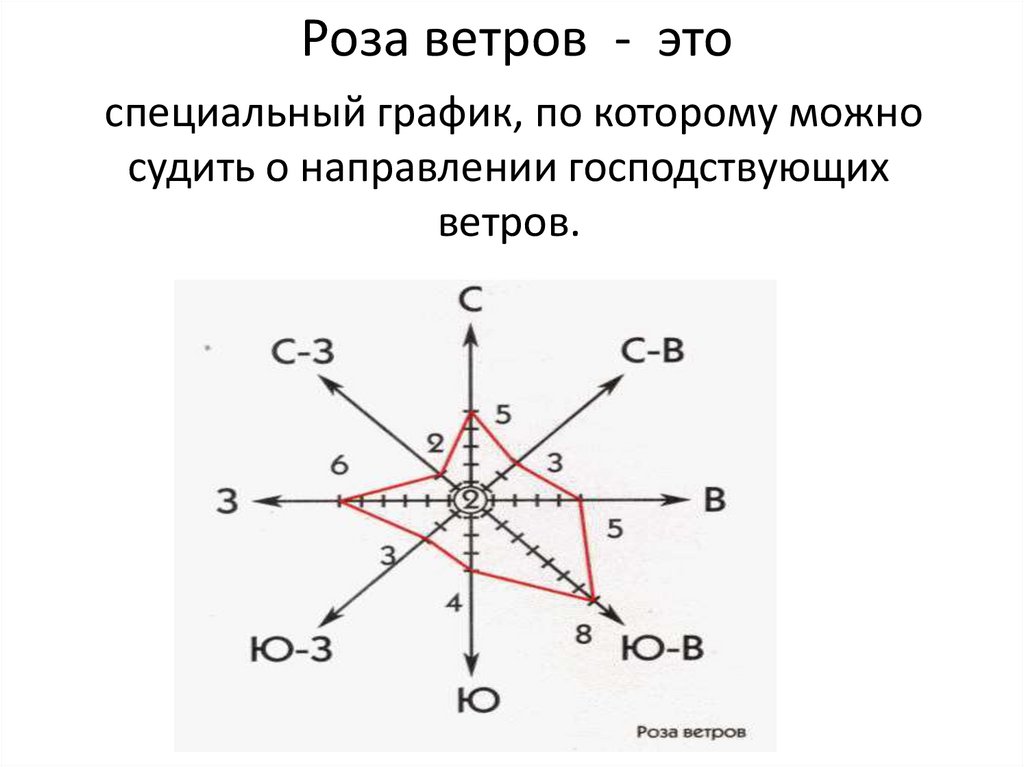 Роза ветров - это