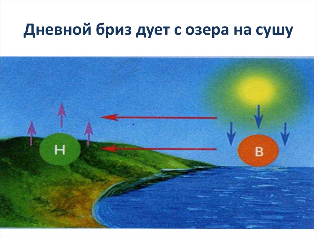 Дневной бриз дует с озера на сушу