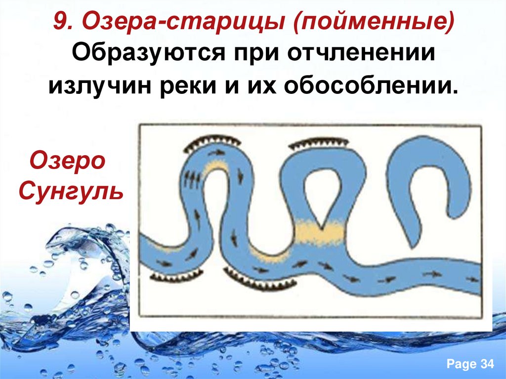 9. Озера-старицы (пойменные) Образуются при отчленении излучин реки и их обособлении.