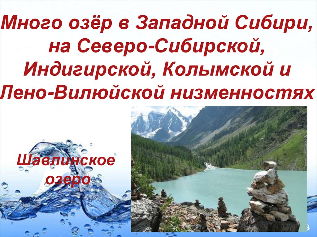 Много озёр в Западной Сибири, на Северо-Сибирской, Индигирской, Колымской и Лено-Вилюйской низменностях