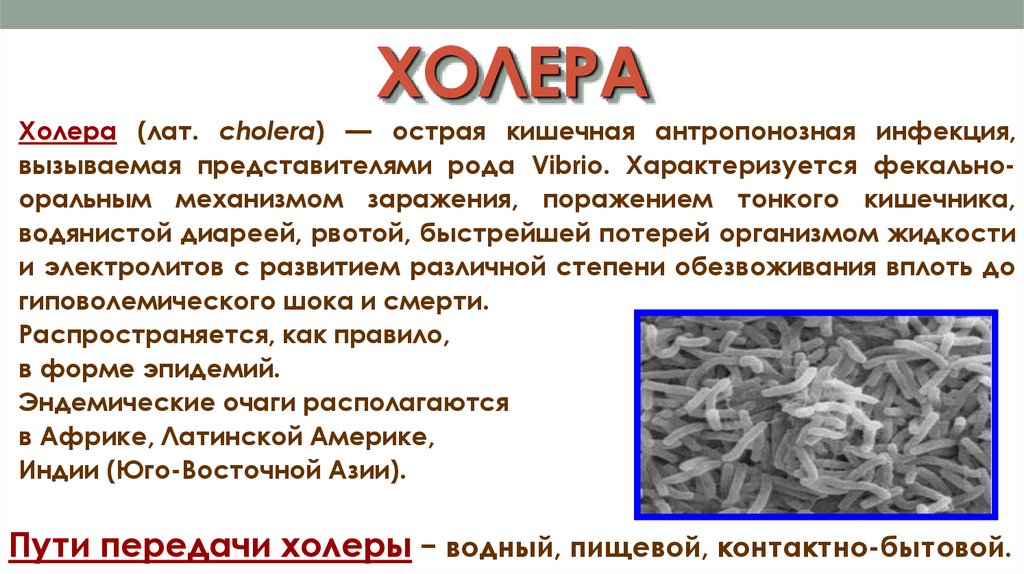 ХОЛЕРА