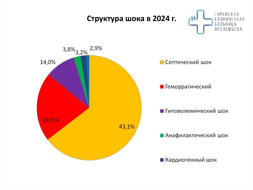 Структура шока в 2024 г.