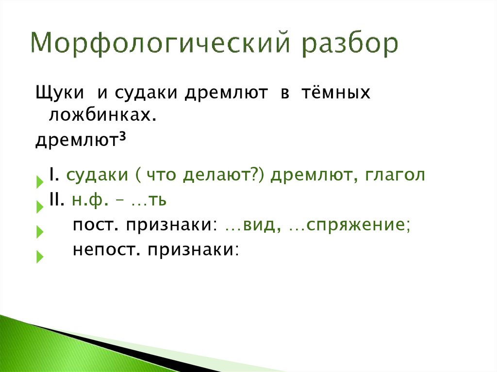 Морфологический разбор