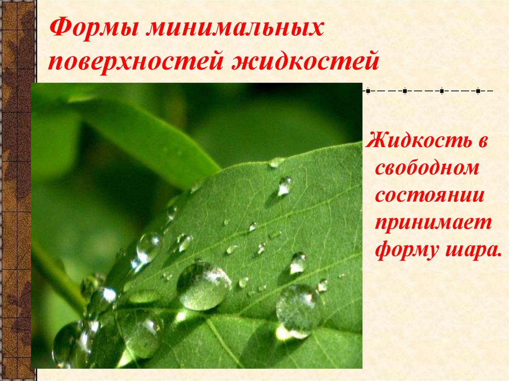 Формы минимальных поверхностей жидкостей